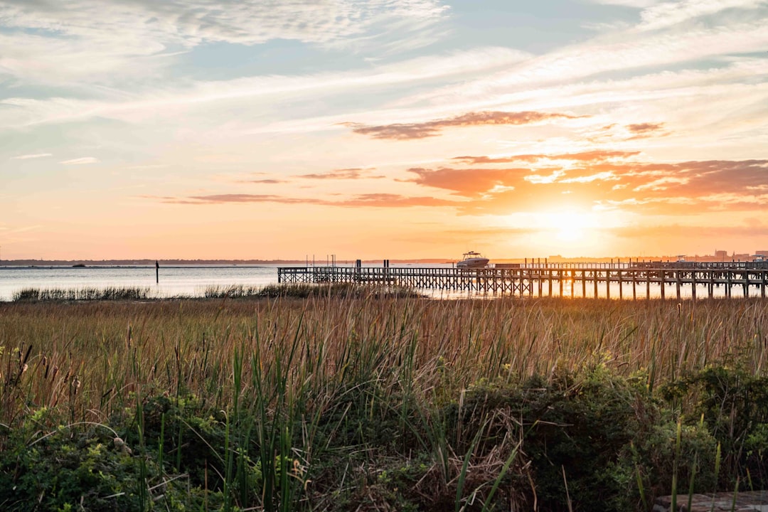 Dunes West vs Carolina Park vs South Mount Pleasant: Which Neighborhood Is Right for You?