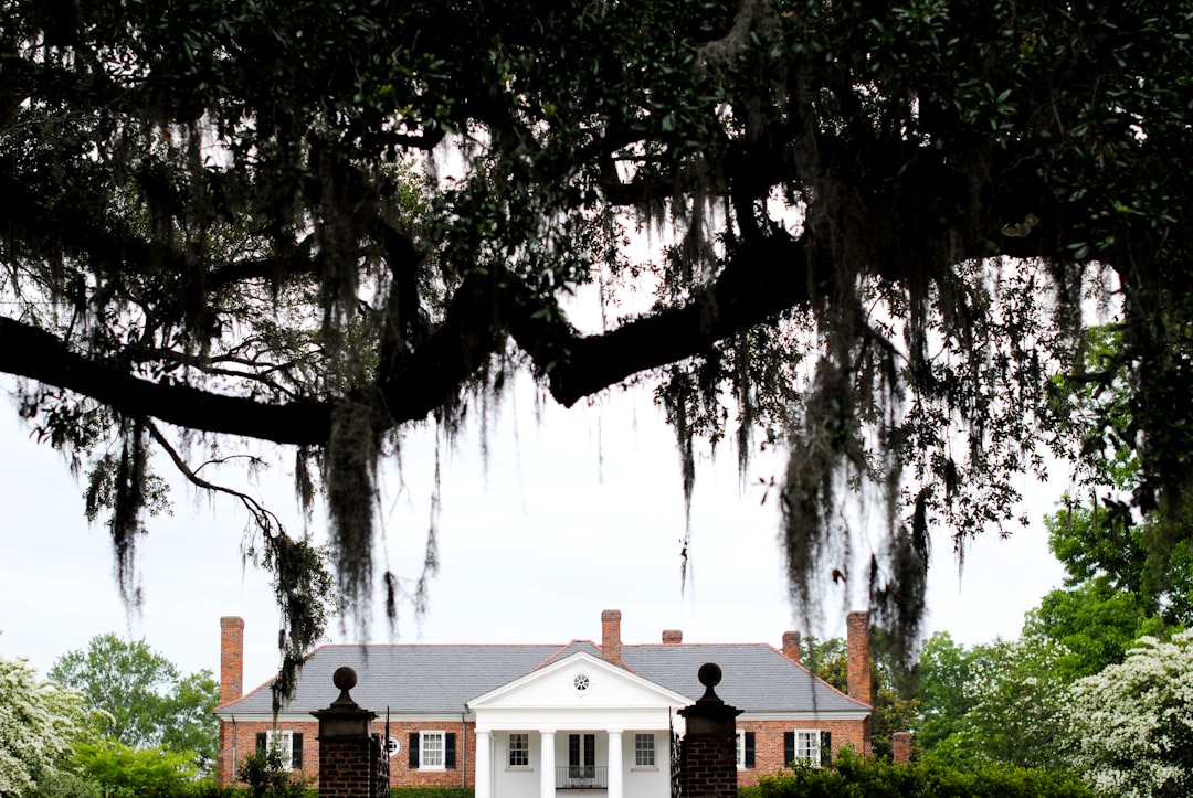 Why Homes Are Taking Longer to Sell in Mount Pleasant and Charleston (And What Sellers Need to Know)