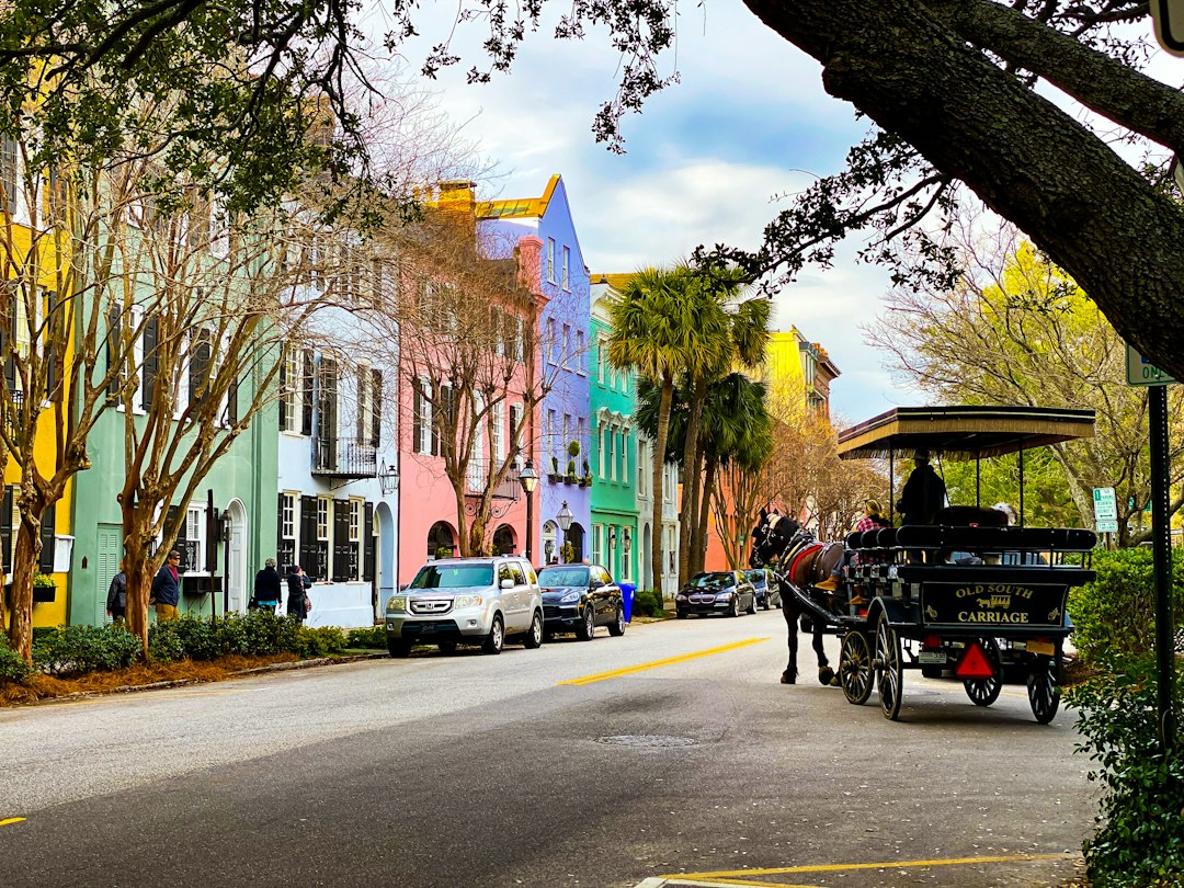 Exploring Charleston's Historic Homes and Neighborhoods: A Complete Buyer's Guide